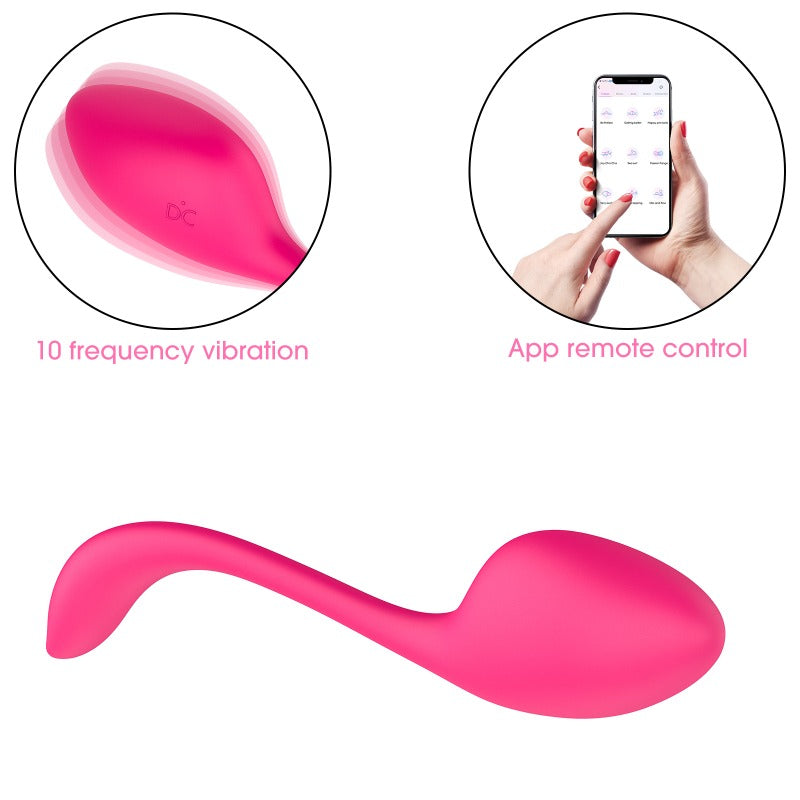 Moremorelove App-Controlled Wearable Panty Vibrator – 10 Vibration Modes, Mini G-Spot Bullet, Rose Dildo & Clitoral, Vaginal, Anal Stimulator for Women & Couples