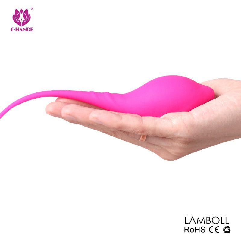 Moremorelove Kegel Balls 3-Piece Set – Pelvic Floor Muscle Trainer, Vaginal Tightening Balls & Postpartum Recovery Ben Wa Weights for Women